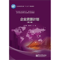 企業(yè)資源計(jì)劃系統(tǒng)與信息系統(tǒng)運(yùn)行維護(hù)服務(wù)
