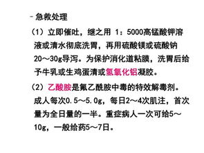 烹飪與膳食管理基礎 現代餐飲管理的核心支柱
